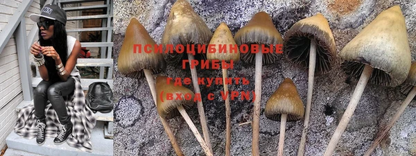 меф Шадринск