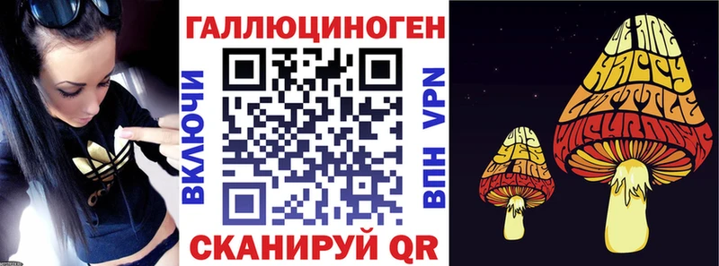 Купить  Чадан  Галлюциногенные грибы Psilocybe 