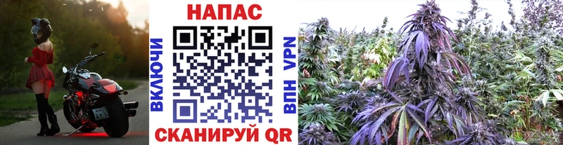 Марихуана планчик  Купить закладки  Чадан 